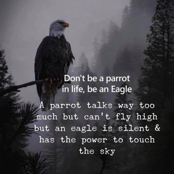 Meet your Posher, Chris - Picture 1 of 1